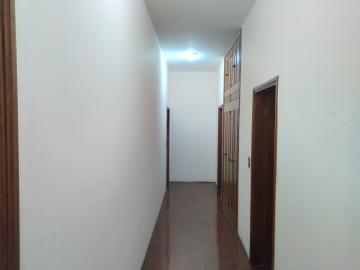 Alugar Casa / Padr&atilde;o em S&atilde;o Jos&eacute; do Rio Preto R$ 5.500,00 - Foto 18