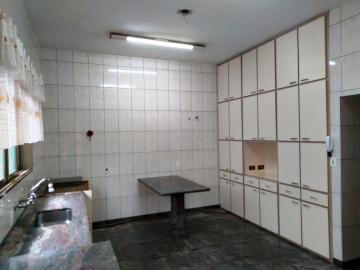 Alugar Casa / Padr&atilde;o em S&atilde;o Jos&eacute; do Rio Preto R$ 5.500,00 - Foto 52
