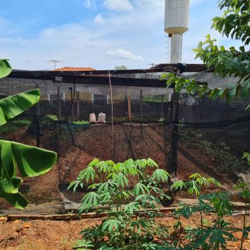Comprar Casa / Condom&iacute;nio em S&atilde;o Jos&eacute; do Rio Preto R$ 4.000.000,00 - Foto 45