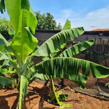 Comprar Casa / Condom&iacute;nio em S&atilde;o Jos&eacute; do Rio Preto R$ 4.000.000,00 - Foto 47
