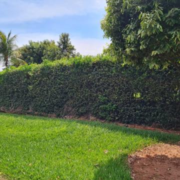 Comprar Casa / Condom&iacute;nio em S&atilde;o Jos&eacute; do Rio Preto R$ 4.000.000,00 - Foto 71