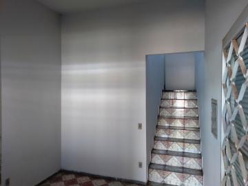 Alugar Casa / Sobrado em S&atilde;o Jos&eacute; do Rio Preto R$ 2.100,00 - Foto 4