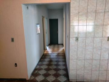 Alugar Casa / Sobrado em S&atilde;o Jos&eacute; do Rio Preto R$ 2.100,00 - Foto 11