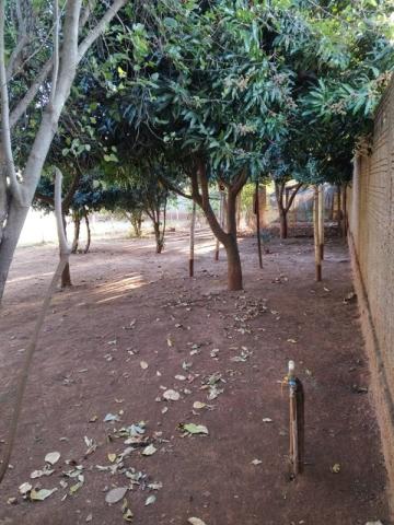 Comprar Rural / Ch&aacute;cara em Potirendaba R$ 1.200.000,00 - Foto 6