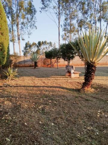 Comprar Rural / Ch&aacute;cara em Potirendaba R$ 1.200.000,00 - Foto 5