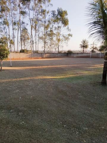 Comprar Rural / Ch&aacute;cara em Potirendaba R$ 1.200.000,00 - Foto 12