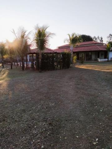 Comprar Rural / Ch&aacute;cara em Potirendaba R$ 1.200.000,00 - Foto 16