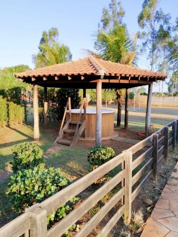 Comprar Rural / Ch&aacute;cara em Potirendaba R$ 1.200.000,00 - Foto 20