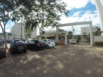 Apartamento / Padr&atilde;o em S&atilde;o Jos&eacute; do Rio Preto 