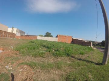 Comprar Terreno / Padr&atilde;o em S&atilde;o Jos&eacute; do Rio Preto R$ 115.000,00 - Foto 3
