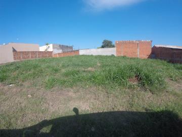 Comprar Terreno / Padr&atilde;o em S&atilde;o Jos&eacute; do Rio Preto R$ 115.000,00 - Foto 5