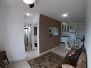 Alugar Apartamento / Padr&atilde;o em S&atilde;o Jos&eacute; do Rio Preto R$ 900,00 - Foto 7