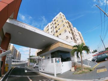 Alugar Apartamento / Padr&atilde;o em S&atilde;o Jos&eacute; do Rio Preto. apenas R$ 900,00