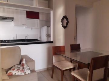 Alugar Apartamento / Padr&atilde;o em S&atilde;o Jos&eacute; do Rio Preto R$ 1.100,00 - Foto 4