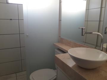 Alugar Apartamento / Padr&atilde;o em S&atilde;o Jos&eacute; do Rio Preto R$ 1.100,00 - Foto 11