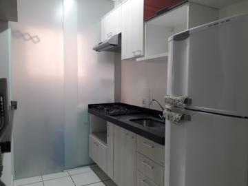 Alugar Apartamento / Padr&atilde;o em S&atilde;o Jos&eacute; do Rio Preto R$ 1.100,00 - Foto 7