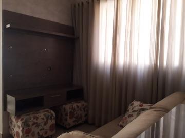 Alugar Apartamento / Padr&atilde;o em S&atilde;o Jos&eacute; do Rio Preto R$ 1.100,00 - Foto 5