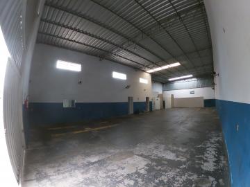 Comercial / Sal&atilde;o em S&atilde;o Jos&eacute; do Rio Preto 