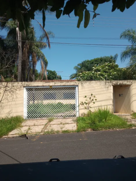Alugar Rural / Ch&aacute;cara em S&atilde;o Jos&eacute; do Rio Preto R$ 2.900,00 - Foto 49