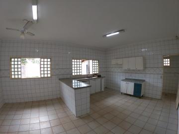 Alugar Rural / Ch&aacute;cara em S&atilde;o Jos&eacute; do Rio Preto R$ 2.900,00 - Foto 8
