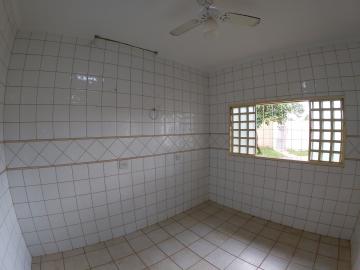 Alugar Rural / Ch&aacute;cara em S&atilde;o Jos&eacute; do Rio Preto R$ 2.900,00 - Foto 9