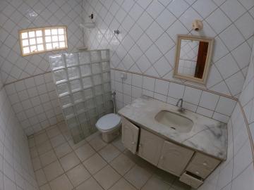 Alugar Rural / Ch&aacute;cara em S&atilde;o Jos&eacute; do Rio Preto R$ 2.900,00 - Foto 19