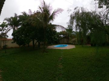 Alugar Rural / Ch&aacute;cara em S&atilde;o Jos&eacute; do Rio Preto R$ 2.900,00 - Foto 31