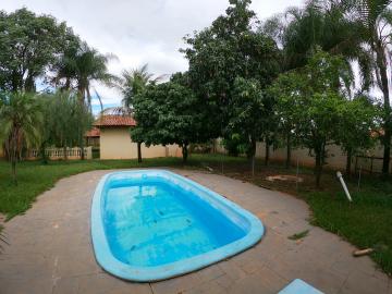 Alugar Rural / Ch&aacute;cara em S&atilde;o Jos&eacute; do Rio Preto R$ 2.900,00 - Foto 34