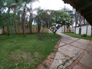 Alugar Rural / Ch&aacute;cara em S&atilde;o Jos&eacute; do Rio Preto R$ 2.900,00 - Foto 48