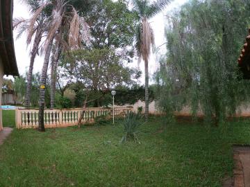Alugar Rural / Ch&aacute;cara em S&atilde;o Jos&eacute; do Rio Preto R$ 2.900,00 - Foto 29