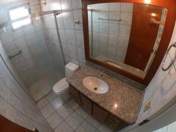 Alugar Apartamento / Padr&atilde;o em S&atilde;o Jos&eacute; do Rio Preto R$ 1.200,00 - Foto 13