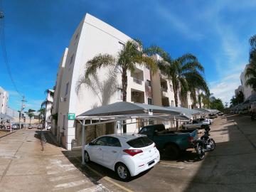 Alugar Apartamento / Padr&atilde;o em S&atilde;o Jos&eacute; do Rio Preto R$ 700,00 - Foto 7