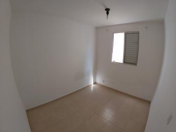 Alugar Apartamento / Padr&atilde;o em S&atilde;o Jos&eacute; do Rio Preto R$ 700,00 - Foto 18