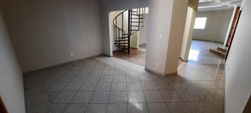 Alugar Casa / Padr&atilde;o em S&atilde;o Jos&eacute; do Rio Preto R$ 2.500,00 - Foto 6