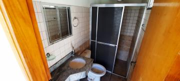 Alugar Casa / Padr&atilde;o em S&atilde;o Jos&eacute; do Rio Preto R$ 2.500,00 - Foto 30