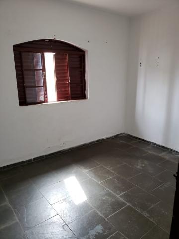Alugar Casa / Padr&atilde;o em S&atilde;o Jos&eacute; do Rio Preto R$ 950,00 - Foto 4