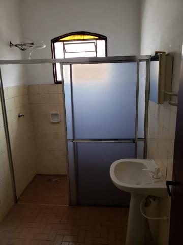 Alugar Casa / Padr&atilde;o em S&atilde;o Jos&eacute; do Rio Preto R$ 950,00 - Foto 5