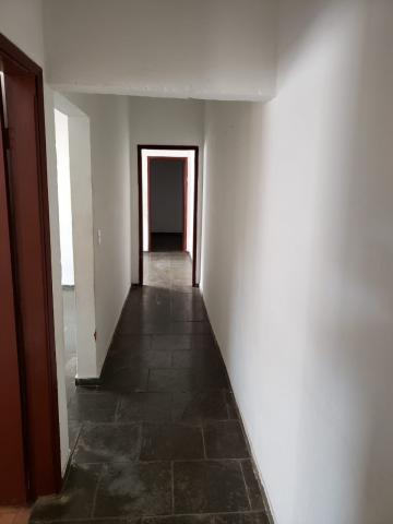Alugar Casa / Padr&atilde;o em S&atilde;o Jos&eacute; do Rio Preto R$ 950,00 - Foto 6