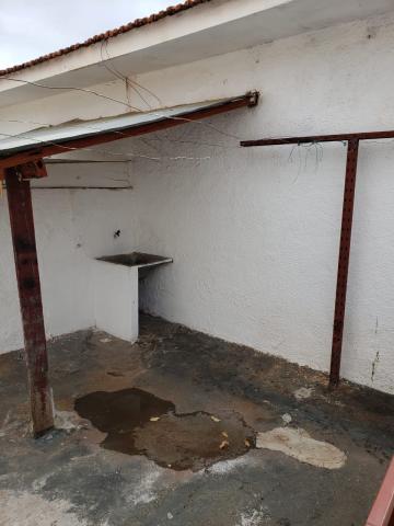 Alugar Casa / Padr&atilde;o em S&atilde;o Jos&eacute; do Rio Preto R$ 950,00 - Foto 11