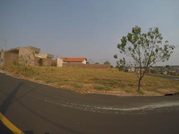 Terreno / Padr&atilde;o em S&atilde;o Jos&eacute; do Rio Preto 