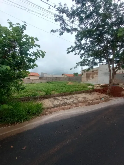 Comprar Terreno / Padr&atilde;o em S&atilde;o Jos&eacute; do Rio Preto R$ 145.000,00 - Foto 3