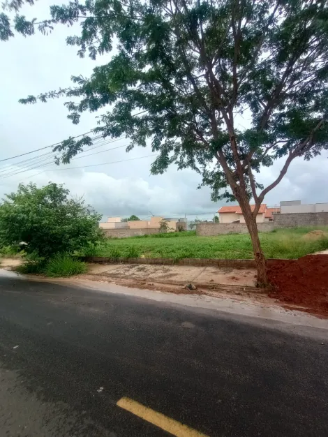 Comprar Terreno / Padr&atilde;o em S&atilde;o Jos&eacute; do Rio Preto R$ 145.000,00 - Foto 5