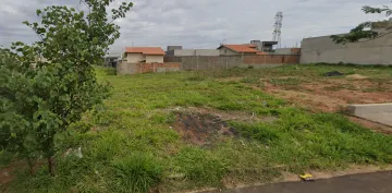 Terreno / Padr&atilde;o em S&atilde;o Jos&eacute; do Rio Preto 