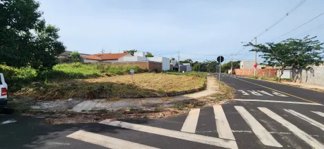 Terreno / Padr&atilde;o em S&atilde;o Jos&eacute; do Rio Preto 