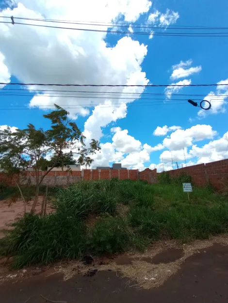 Comprar Terreno / Padr&atilde;o em Bady Bassitt R$ 93.000,00 - Foto 2