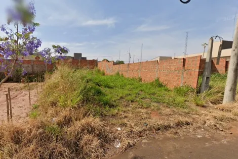 Alugar Terreno / Padr&atilde;o em Bady Bassitt. apenas R$ 93.000,00