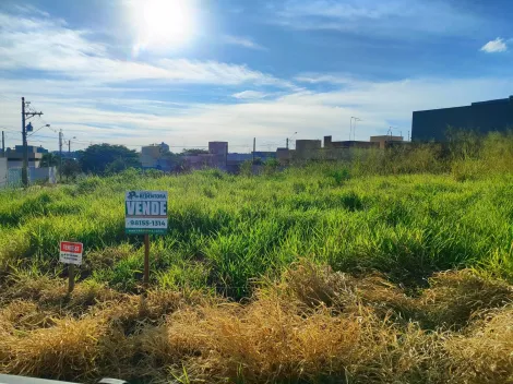Comprar Terreno / Padr&atilde;o em Bady Bassitt R$ 110.000,00 - Foto 3