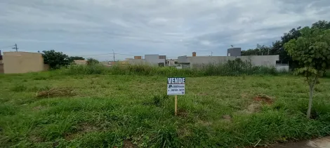 Alugar Terreno / Padr&atilde;o em Bady Bassitt. apenas R$ 71.300,00
