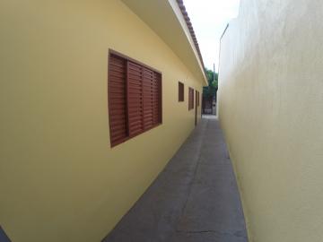 Alugar Casa / Padr&atilde;o em S&atilde;o Jos&eacute; do Rio Preto R$ 780,00 - Foto 10