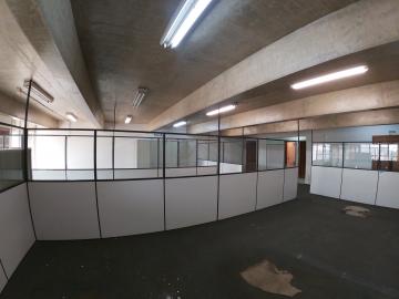 Alugar Comercial / Sala em S&atilde;o Jos&eacute; do Rio Preto R$ 1.000,00 - Foto 12